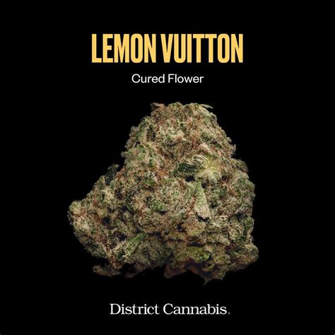 louis vuitton strain leafly|lemon vuitton weed strain.